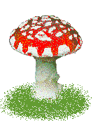 graphics-mushrooms-808743.gif