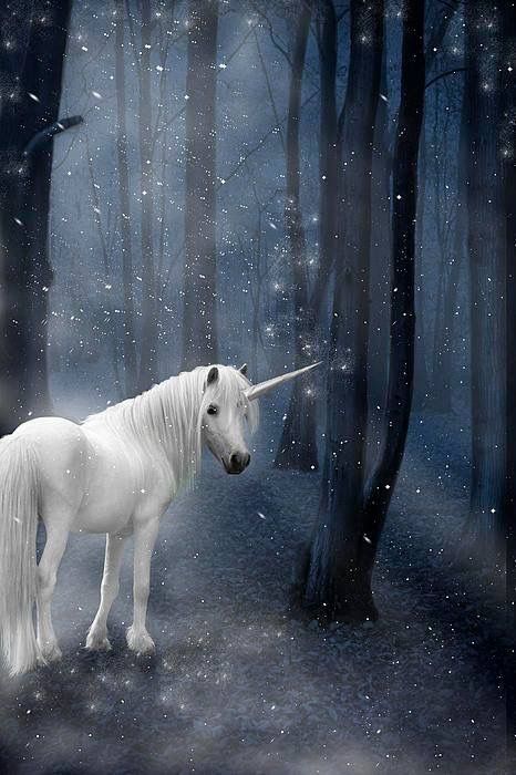 unicorn.jpg