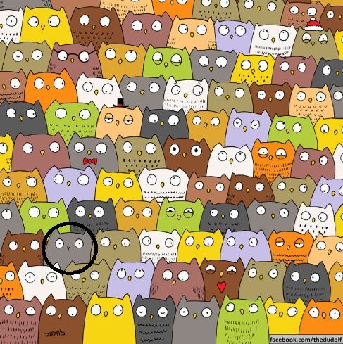 catter.JPG
